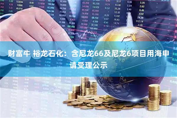 财富牛 裕龙石化：含尼龙66及尼龙6项目用海申请受理公示