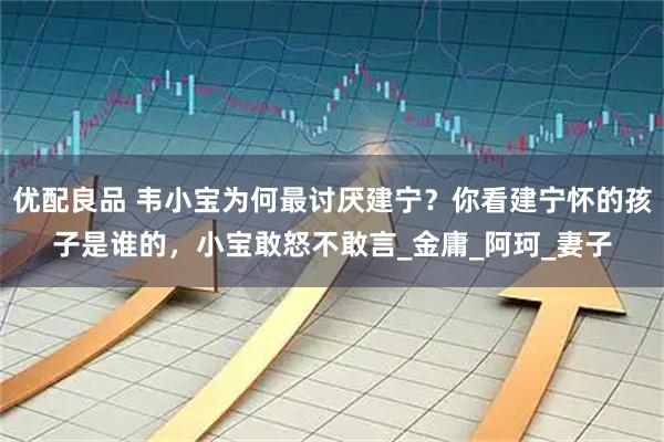 优配良品 韦小宝为何最讨厌建宁？你看建宁怀的孩子是谁的，小宝敢怒不敢言_金庸_阿珂_妻子