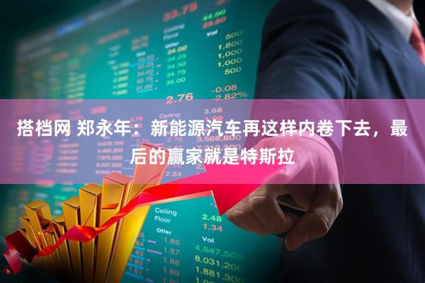 搭档网 郑永年：新能源汽车再这样内卷下去，最后的赢家就是特斯拉